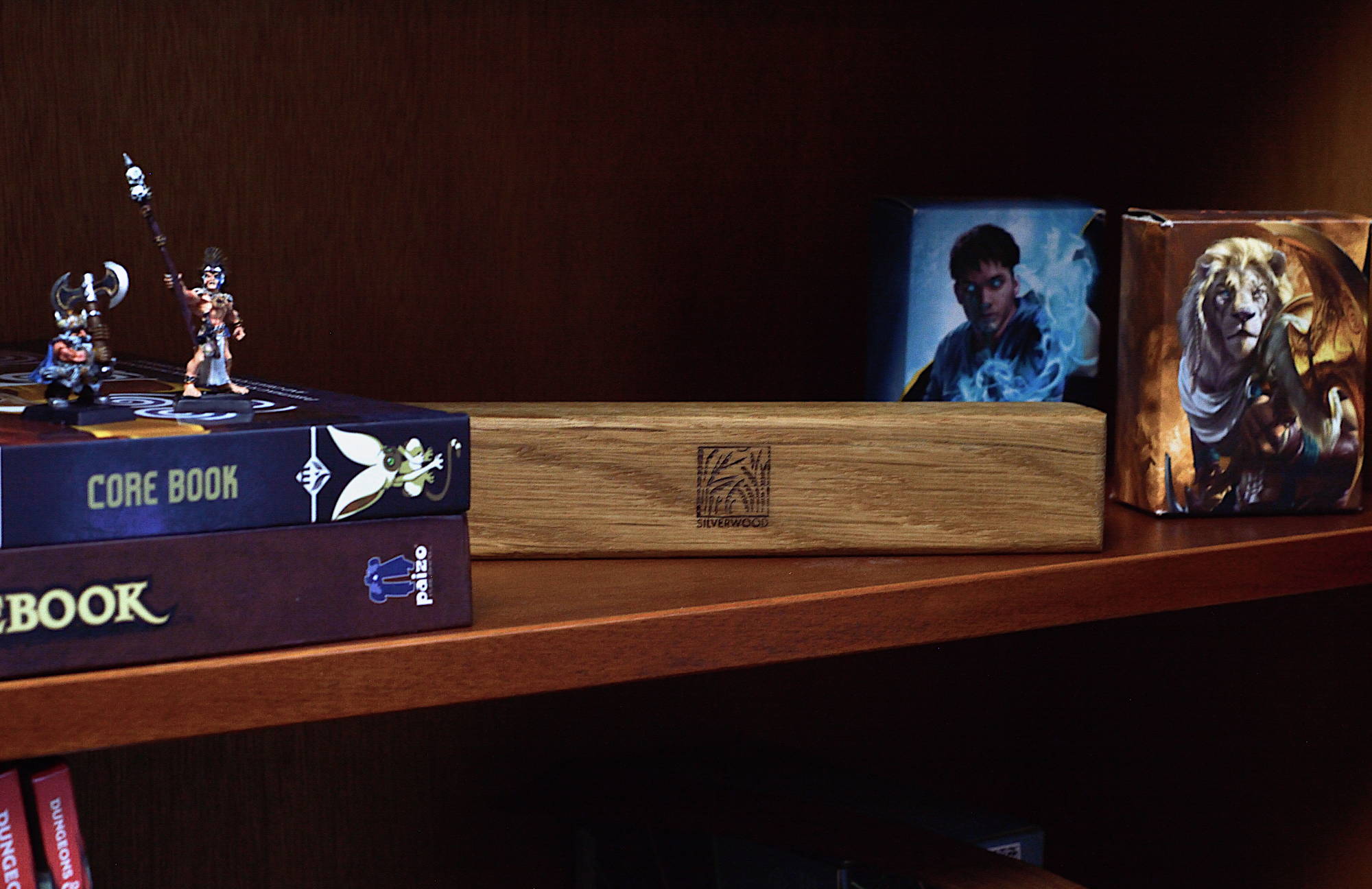 Dice Vault on the shelf with miniatures, core rulebooks and miniatures. Also Magic: The Gathering sets.